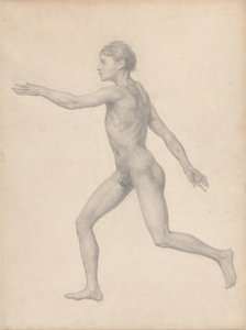 人体の構造と虎および家禽の構造の比較解剖学的説明：人体図、側面図、未解剖（表VIIIのための完成された研究） 作： ジョージ・スタッブス