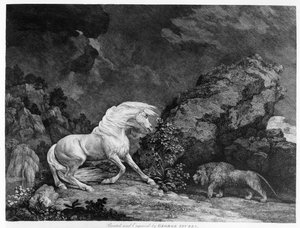 1777年に画家によって刻まれたライオンに襲われた馬 作： George Stubbs
