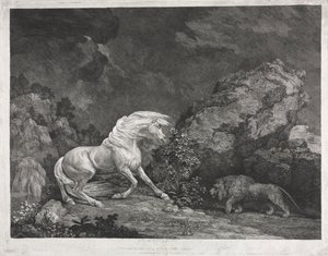 ライオンに怯えた馬、1777年。 作： George Stubbs