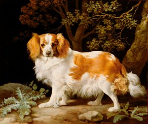 森の中のレバー＆ホワイト・キング・チャールズ・スパニエル 作： George Stubbs