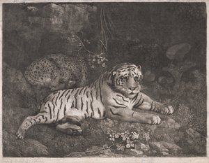 虎と眠るヒョウ