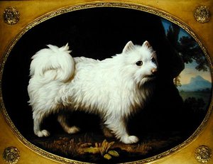 白いスピッツ 1770年頃 （エナメル磁器に油彩） 作： George Stubbs