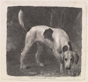 Cão [Um Foxhound no Cheiro] 作： George Stubbs