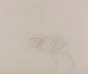 ドーキング鶏の体、横から見た図 (解剖後期の体と手足の筋肉の研究) 作： George Stubbs