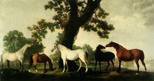 「ウィンザー グレート パークのカンバーランド公爵牧場にいる 5 頭の繁殖牝馬」、1765 年、1944 年。 作： George Stubbs
