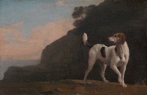 フォックスハウンド、フォックスハウンド、カリフォルニア州。 1760年。 作： George Stubbs