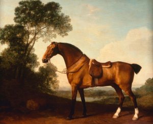 G.Stubbs、サドルベイハンター 作： George Stubbs