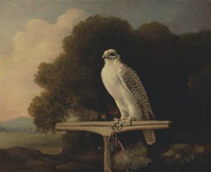 グリーンランドファルコン 作： George Stubbs