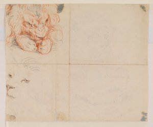 18世紀または19世紀のライオンの頭と足 作： George Stubbs