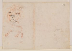ライオンの頭、18世紀または19世紀 作： George Stubbs