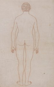 Corpo Humano, Visão Posterior (Esboço da Tabela VII) 作： George Stubbs