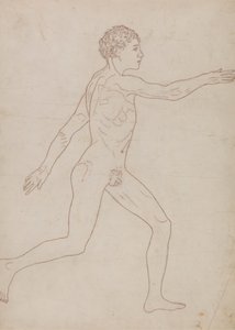 人体図、側面図 (表 VIII の逆の概略図) 作： George Stubbs