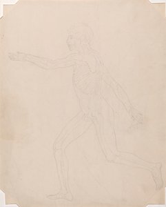 人間の姿、側面図 作： George Stubbs