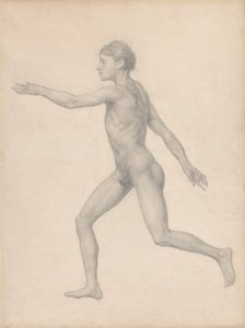 Ihmishahmo, sivulta katsottuna, leikkaamaton (valmiit taulukon VIII tutkimus) 作： George Stubbs