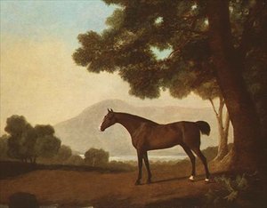 "ジョニー"、森の中のベイスタリオン 作： George Stubbs