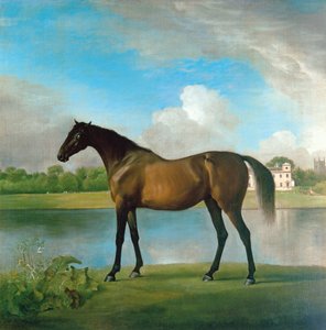 ボリングブローク卿の繁殖牝馬（ウィルトシャー、リディアード・パークの敷地内）1764-66年頃（油彩・キャンバス 作： George Stubbs