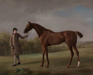 新郎が保持する光沢、約。 1762年。 作： George Stubbs
