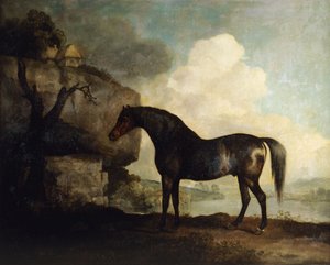 マルスケ」 作： George Stubbs