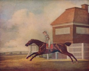 1771年にジョッキーが昇格したニューマーケットでのオグルヴィスベイ競走馬トレンタム 作： George Stubbs