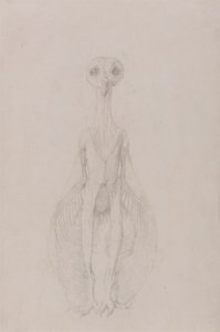 フクロウ, 地位, 前方の眺め 作： George Stubbs