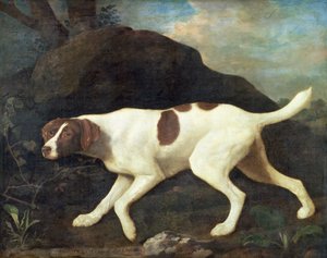 フィリス、クレルモン卿のポインター 作： George Stubbs