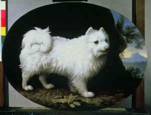 フレンチ夫人の白いラップ犬の肖像、1782 作： George Stubbs