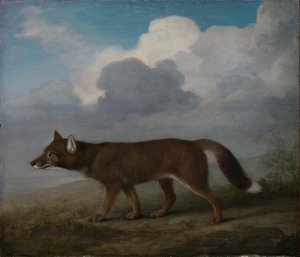 大型犬（ディンゴ）の肖像 作： George Stubbs