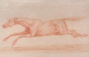 競走馬の動作の研究：  左回りで疾走する競走馬の半解剖学的研究。 作： ジョージ・スタッブス