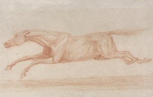 競走馬の行動の研究：左にギャロッピング（バフ紙に赤いチョーク） 作： George Stubbs