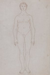 人間の姿の研究、正面図 (表 VI の外形図) 作： George Stubbs
