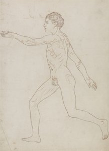 「人体の構造とトラや一般的な鳥の構造の比較解剖学的説明」からの人物像の側面図の研究、c.1795-1806（紙にグラファイト）