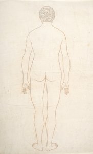 人間の体の構造の比較解剖学的説明からの人間の姿、後部の眺めの研究、虎と普通の家禽のそれとの比較、c.1795-1806（紙にインク） 作： George Stubbs