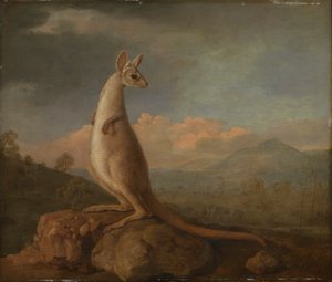 ニューホランド産の金剛楼（カンガルー） 作： George Stubbs