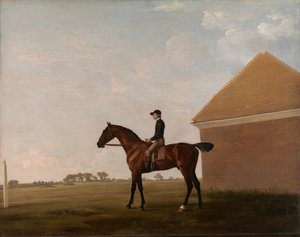 ジョッキーを乗せた芝生、カリフォルニア州ニューマーケット。 1766年。 作： George Stubbs