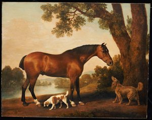 不明な画像 作： George Stubbs