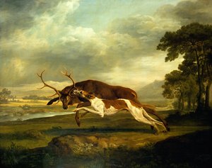 不明な画像 作： George Stubbs