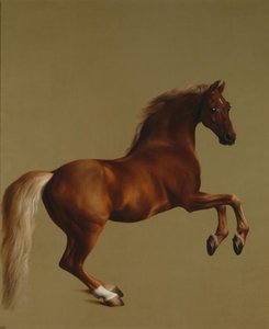 ホイッスルジャケット 作： George Stubbs