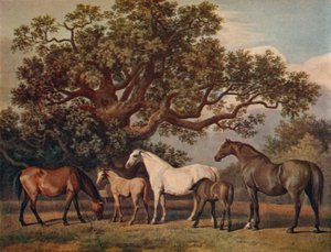 繁殖牝馬と子馬、18世紀後半、1922年 作： George Townley Stubbs