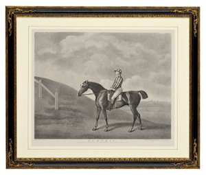 カボチャ（点刻） 作： George Townley Stubbs