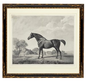 スウィートブライアー（点刻） 作： George Townley Stubbs