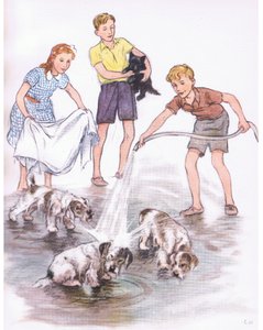 コリンズ社刊『ペット・リミテッド』より「犬を洗う