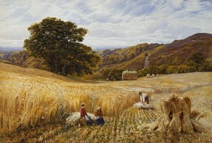 サリー州ホルムベリーヒル近郊の収穫時期 作： George Vicat Cole