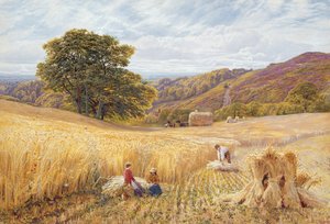 1865年、サリー州ホルムベリーヒル付近の収穫時期（紙と紙の色） 作： George Vicat Cole