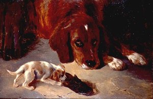 好奇心旺盛な子犬（ボード