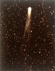ハレー彗星、1910 年。 作： George Willis Ritchey