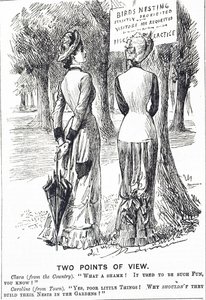 1880年鳥獣保護法を解説した漫画 作： George du Maurier