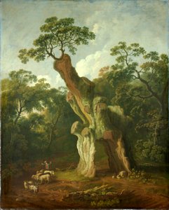 ウェルベック公園のグリーンデール オークの眺め (キャンバスに油彩) 作： George the Elder Barret
