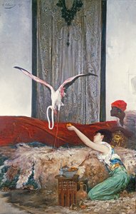 ペットのフラミンゴ (キャンバスに油彩) 作： Georges Clairin