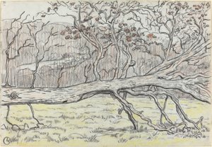 伐採された木、ノルマンディー 作： Georges Lacombe