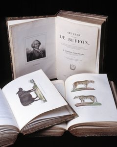 博物学者ビュフォン伯爵ジョルジュ・ルイ・ルクレール（1707～1788）の『ビュフォン全集』の静物画。1837年のエングレーヴィング。
